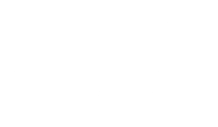 Robert Space Industries Icon (RSI)